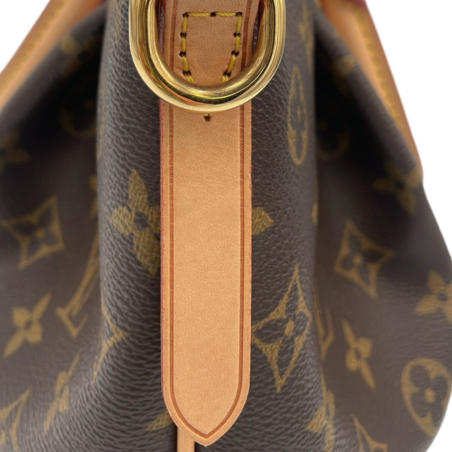 Louis Vuitton Turenne PM Monogram Canvas