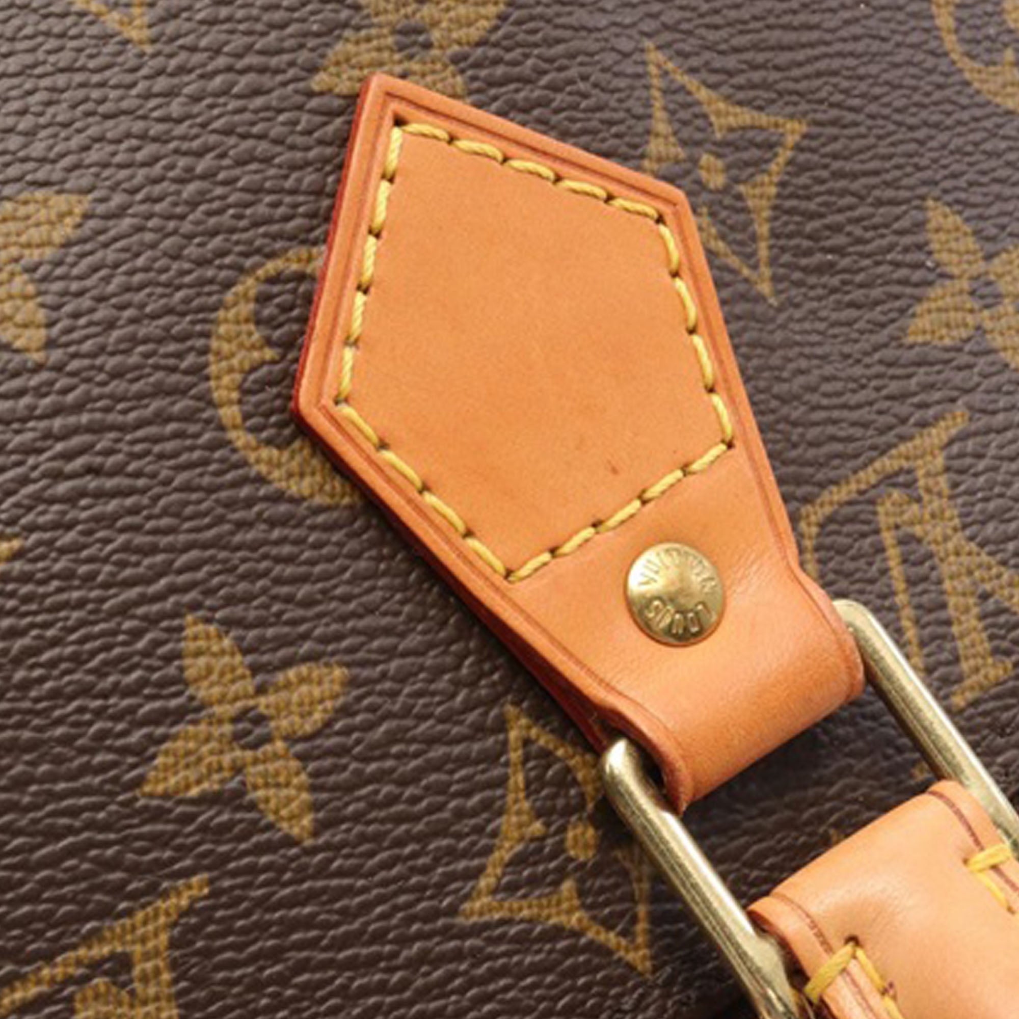 Louis Vuitton Alma PM Monogram Canvas